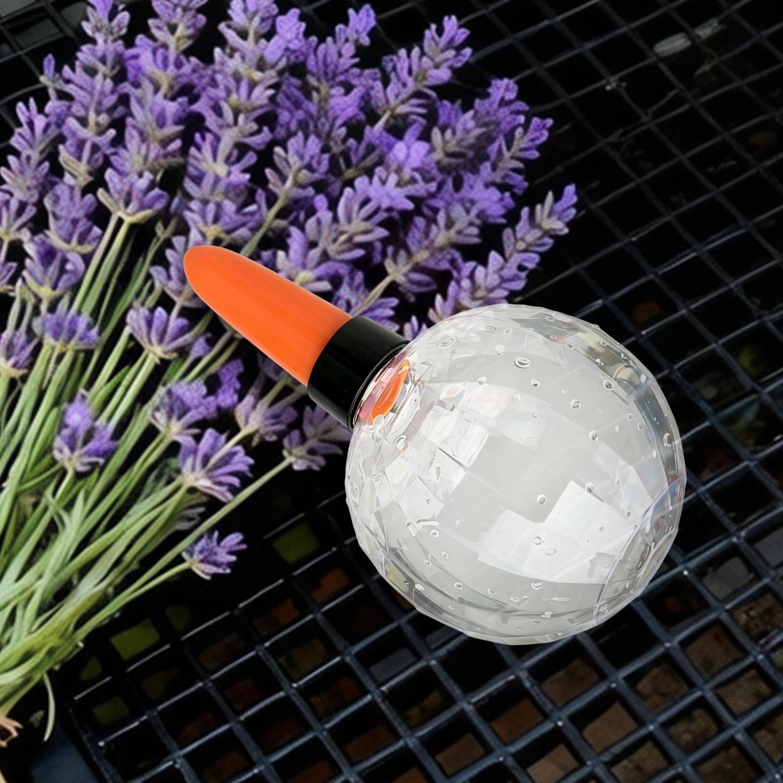 Selbstbewässernder Pflanzenein – Self Watering Insert Bewertung und Preis