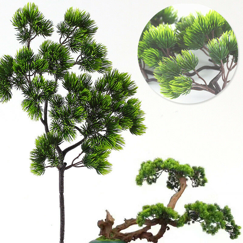 42 cm Künstliche Pflanze Kiefe – Sphagnum Moss Dry Bewertung und Preis
