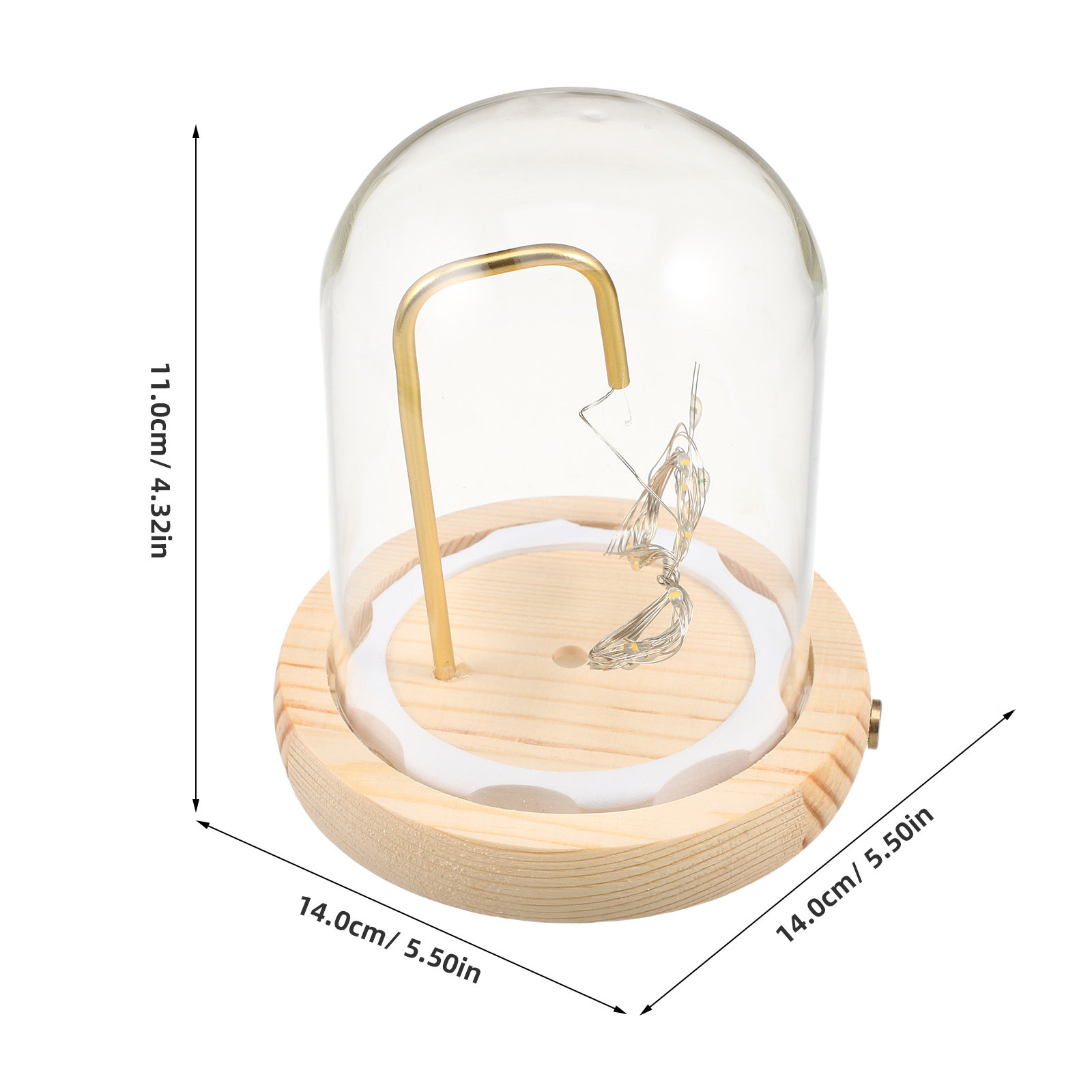 Glas-Kuppelvitrine mit Holzsoc – Plastic Dome Clear Bewertung und Preis
