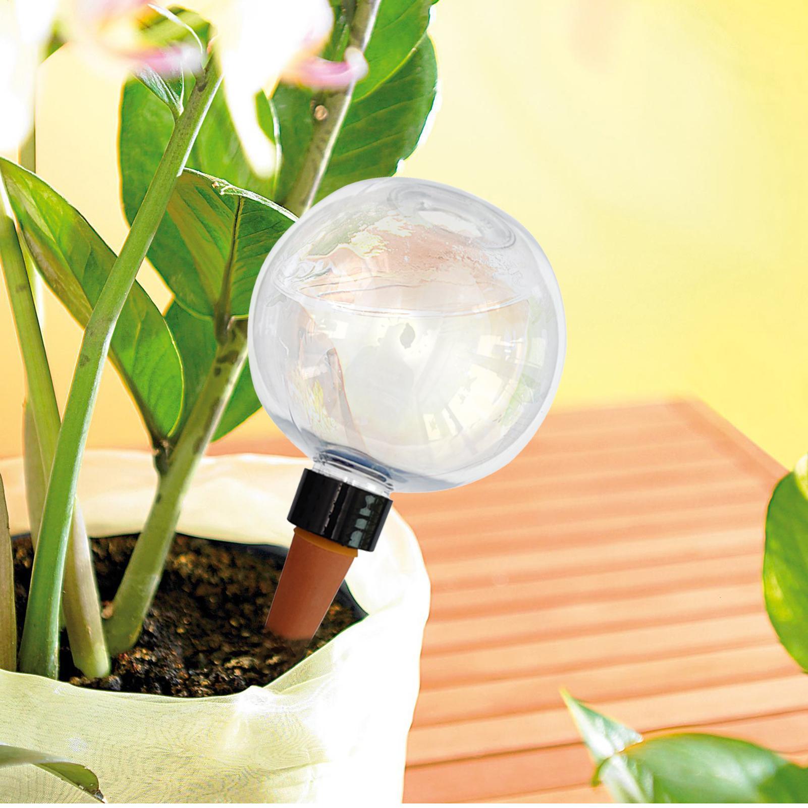500 ml automatische Pflanzenbe – Self Watering Insert Bewertung und Preis