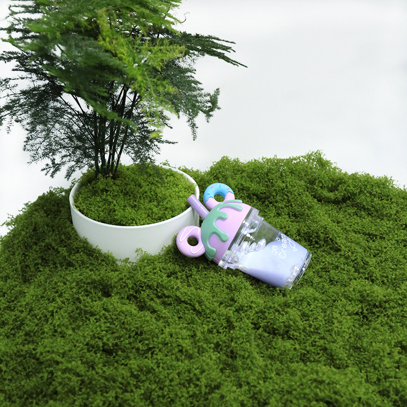 【P】50g Künstliches Moos DIY Ba – Sphagnum Moss Dry Bewertung und Preis