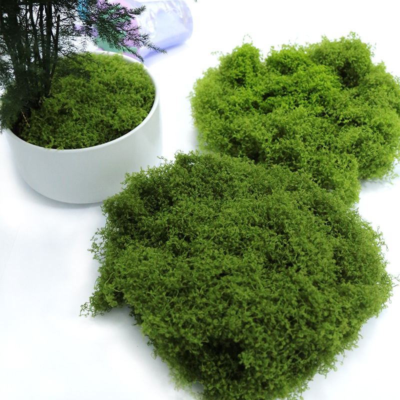 【P】50g Künstliches Moos DIY Ba – Sphagnum Moss Dry Bewertung und Preis