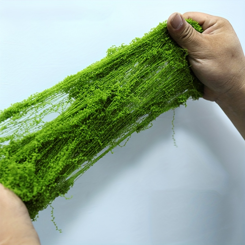 Großpackung, realistisches kün – Sphagnum Moss Dry Bewertung und Preis